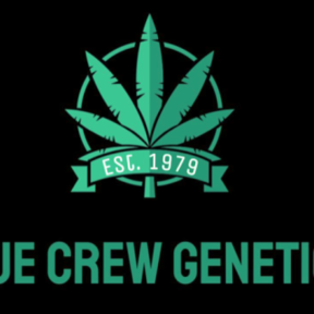 Blue Crew Genetics