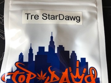 Vente: Top Dawg Seeds- Tre StarDawg