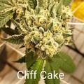 Venta: Cliff Cake 10 pack regs