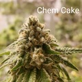 Venta: Chem Cake 10 pack regs