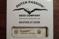 Selling: Purple#1 Feminized - Dutch Passion "Sealed"