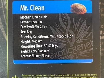 Vente: Exotic Genetix - Mr. Clean