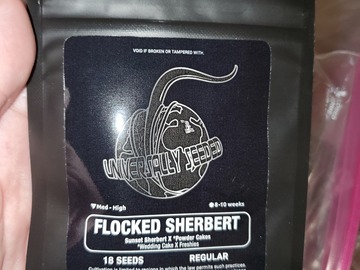 Selling: Flocked Sherbert 18 pack regs by Universally Seeded