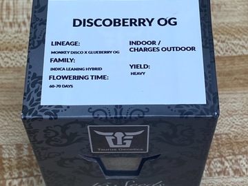 Taurus Genetics - Sealed Box of Discoberry OG 15 seeds