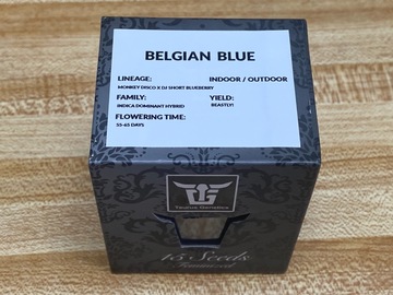 Taurus Genetics- Sealed Box of Belgian Blue 15 female seeds