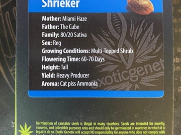 Vente: Exotic Genetix - Shrieker