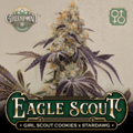 Vente: Eagle Scout by GreenPoint Seeds