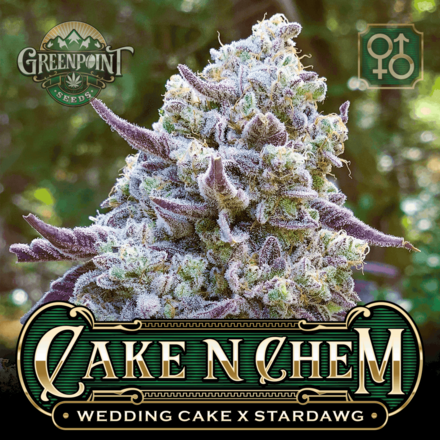 Cake n' Chem by Strane - Maryland Cannabis Reviews