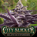 Venta: City Slicker by Greenpoint seeds