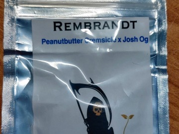 Rembrandt -Peanutbutter Cremsicle X Josh OG
