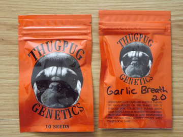Venta: Thug Pug Garlic Breath 2.0 10 Regular Seeds