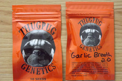 Venta: Thug Pug Garlic Breath 2.0 10 Regular Seeds