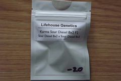 Venta: Lifehouse Genetics Karma Sour Diesel Bx2 F2 20 Regular Seeds