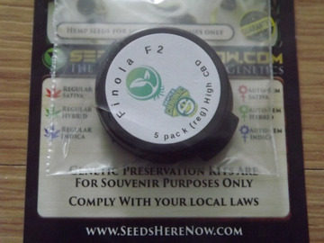 Seattle Chronic Finola F2 High CBD 5 Regular Seeds
