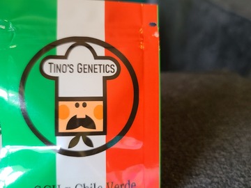 Selling: Tinos Genetics GCH X Chile Verde