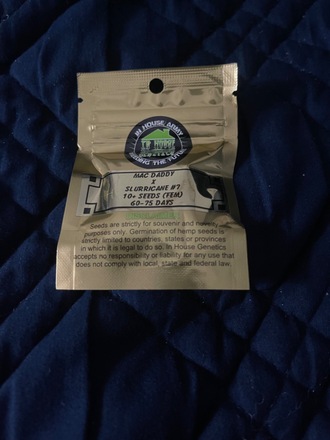 Rare pack of 10 seeds of Inhouse Genetics Terp Daddy - Strainly