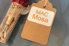 Vente: MAC MOSA by Sunken Treasure Seeds