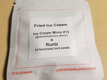 Selling: Fried Ice Cream (Ice Cream Mintz #13 x Runtz) LIT Farms