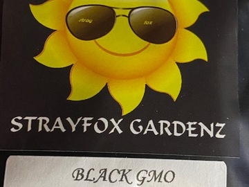 Venta: Stray Fox Gardenz - Black GMO