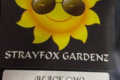 Venta: Stray Fox Gardenz - Black GMO