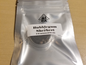 Selling: Bubble Gum x Sherbert - Humboldt CSI