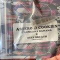 Venta: Asteroid Cookies by Tikimadman