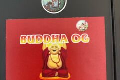Bay Area  - Buddha OG