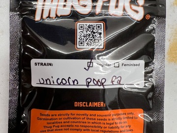 Vente: Thug pug - unicorn poop f2