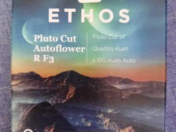 Selling: Ethos - Pluto Cut Autoflower R F3
