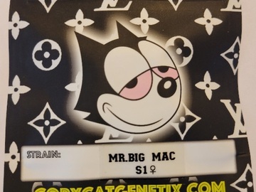 Sell: MR Big MAC S1 Copycat Genetics ORIGINAL Fems