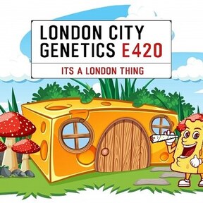London City Genetics