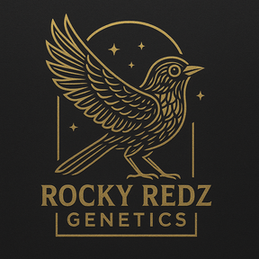 RockyRedz Genetics