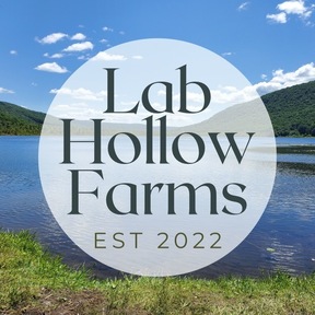 Lab Hollow Farms