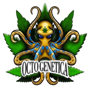 Octo genética - ACCOUNT DISABLED