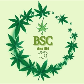 BSC seeds