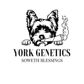 York Genetics