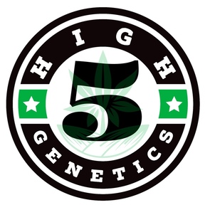 High 5 Genetics