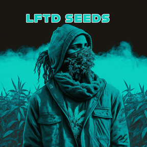 LFTD Seeds