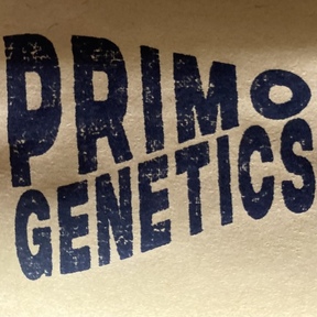 Primo Genetics