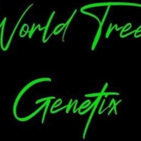 World Tree Genetix