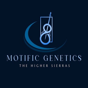 Motific Genetics
