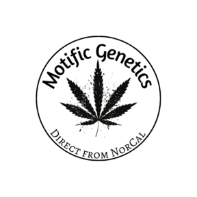 Motific Genetics