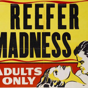 Reefer Madness Seeds