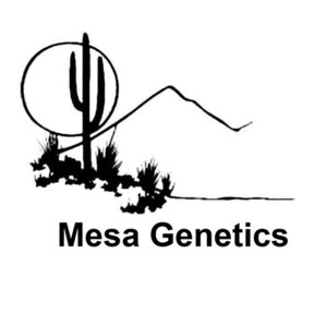Mesa Genetics