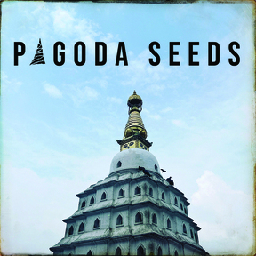 Pagodaseeds