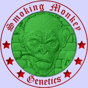 Smoking Monkey Genetics