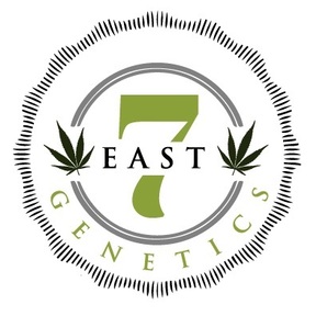 7 East Genetics