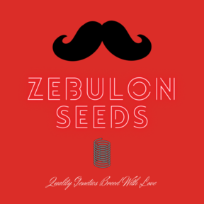 Zebulon Seeds