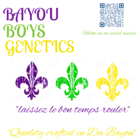 BayouBoysGenetics504