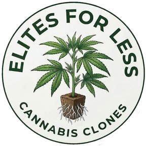 Elites For Less